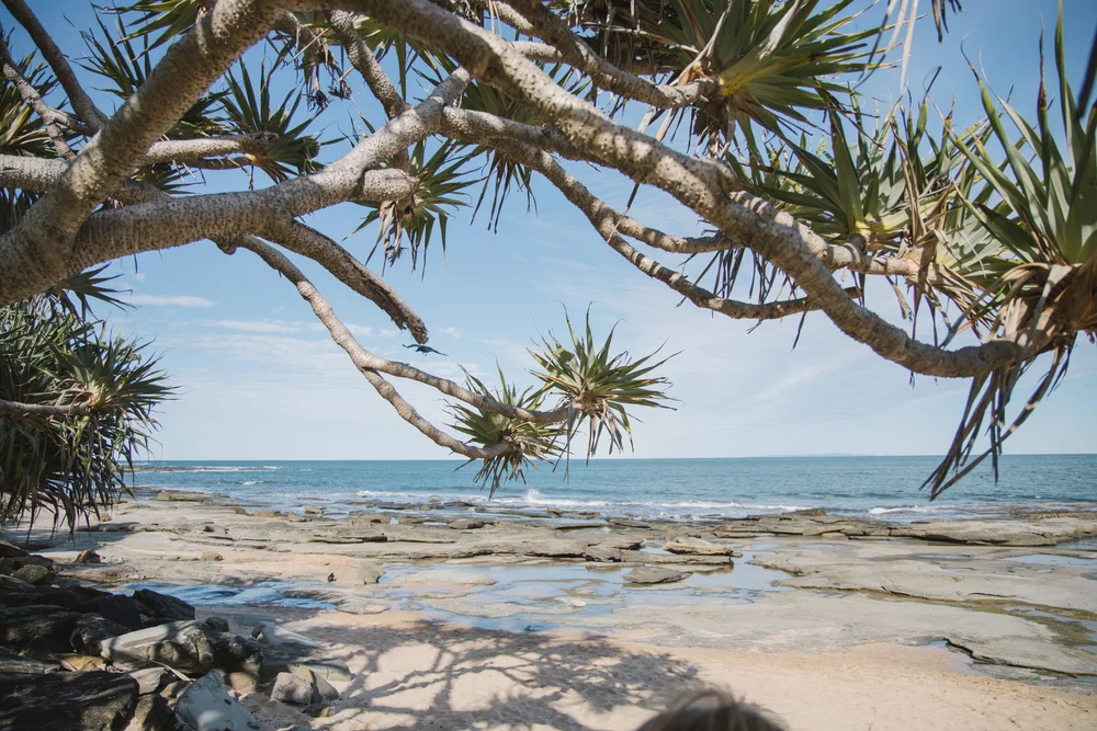 Caloundra service area