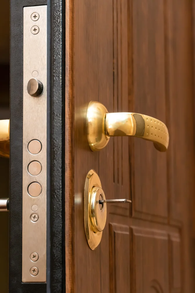 Window & Door Locks